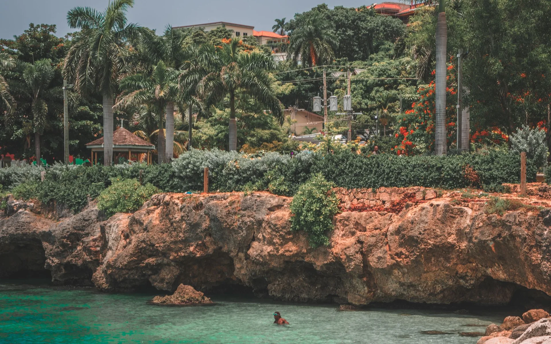 Montego Bay z palmami i turkusową wodą