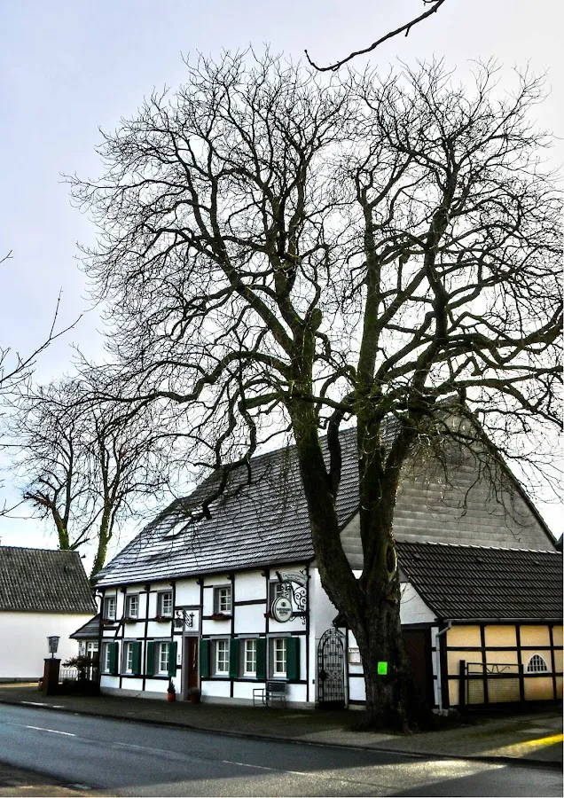 BookNoFees: Restauracja – Gaststätte Ziegler – Lippetal – Restauracja Ziegler, zdjęcie 1