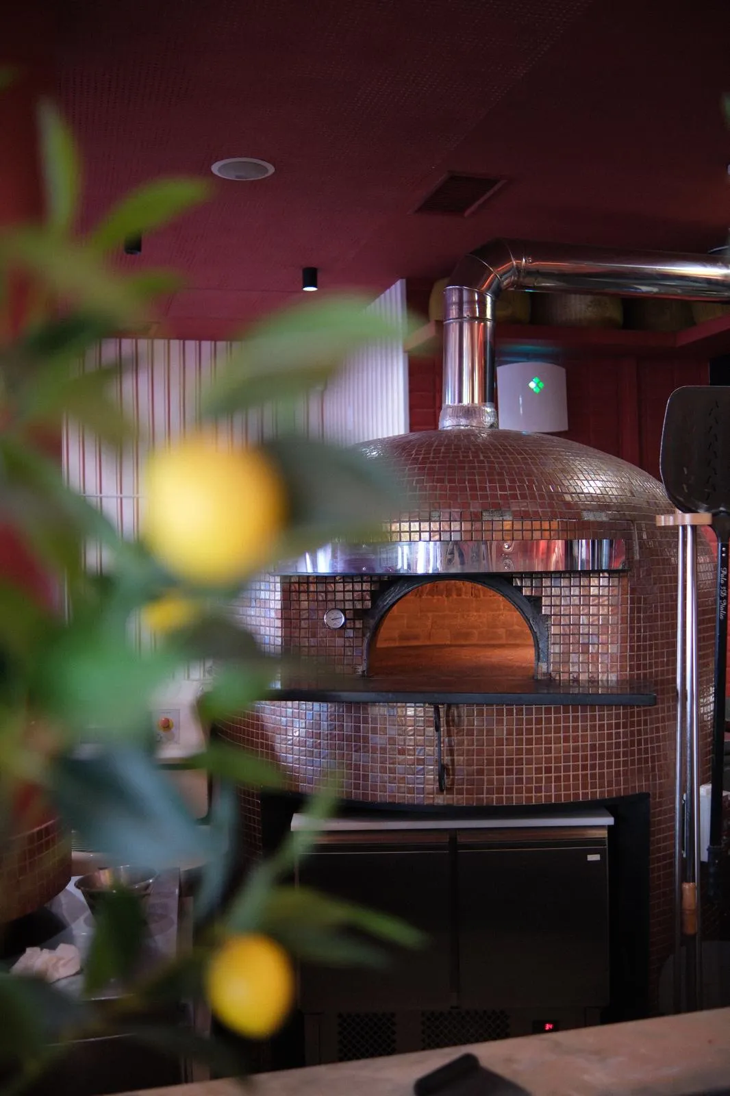 BookNoFees: Restauracja – Ristorante Donatella Italiano – Lisbon – Włoska restauracja Donatella, zdjęcie 1