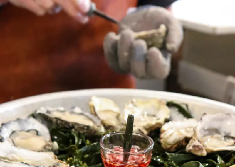 BookNoFees: Restauracja – Brut de Mer – Amsterdam – Świeże z morza, zdjęcie 1
