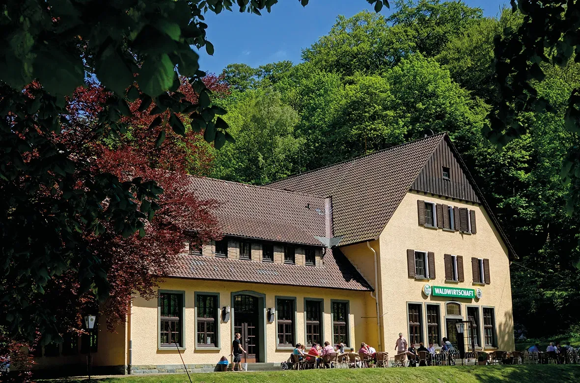 BookNoFees: Restauracja – Waldwirtschaft im Bilsteintal – Warstein – Gospodarka leśna w dolinie Bilstein, zdjęcie 1
