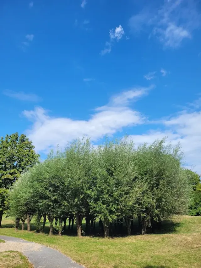 BookNoFees: Restauracja – Cafe Seepark – Lünen – Kawiarnia Seepark, zdjęcie 2