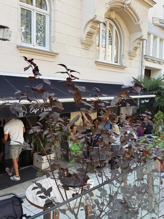 BookNoFees: Kawiarnia – Café Friedl – Vienna – Kawiarnia Friedl, zdjęcie 3