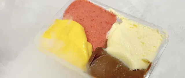 BookNoFees: Lody – Gelateria Fassi – Rome – Lodziarnia Fassi, zdjęcie 3