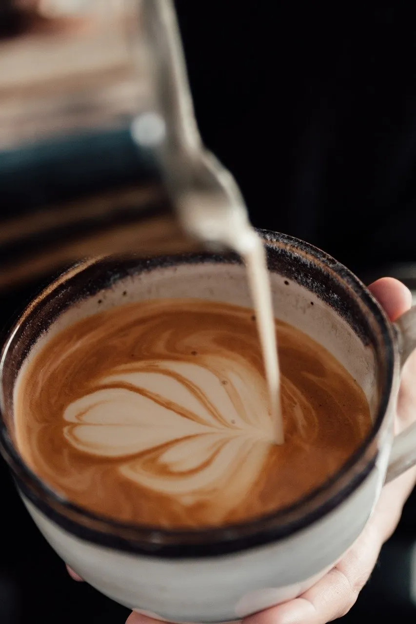 BookNoFees: Kawiarnia – Cafe Fusion – Copenhagen – Kawiarnia Fusion, zdjęcie 1