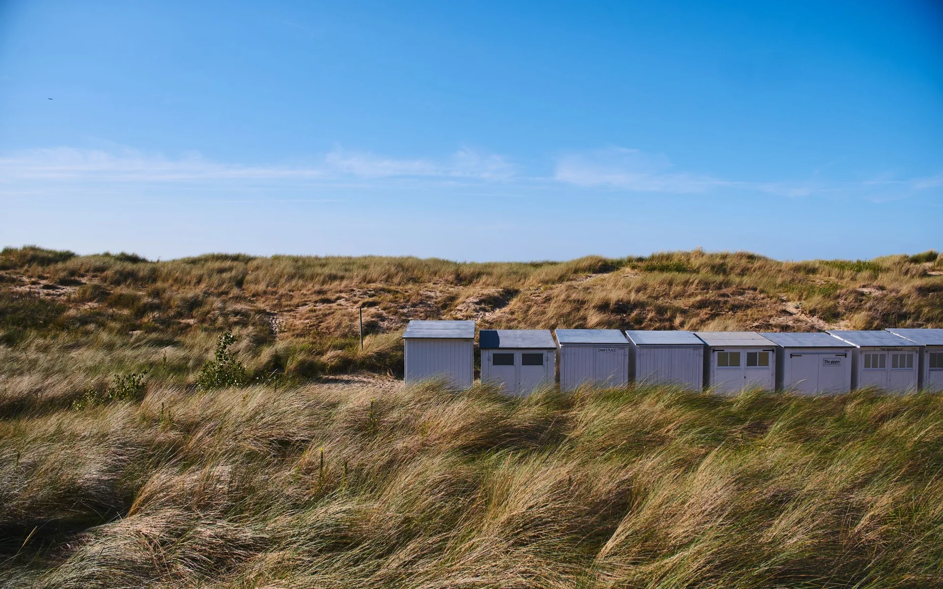 Domy nad morzem wśród wydm w Knokke-Heist